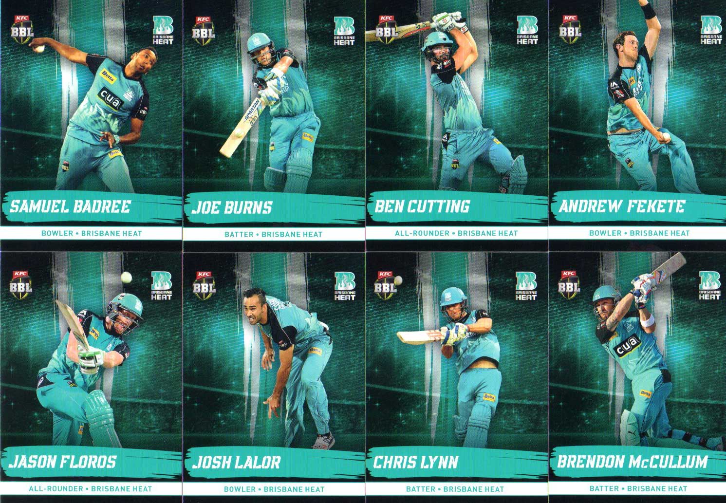 2016/17 CA & BBL Cricket 17Card Team Set Brisbane Heat Diggaz